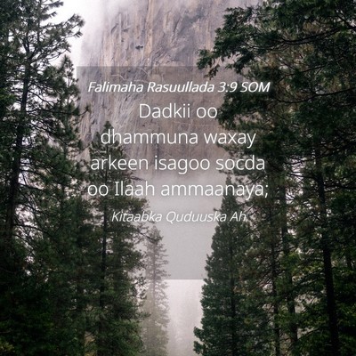 Picture 04 - Falimaha Rasuullada 3:9 SOM - Dadkii oo dhammuna waxay arkeen isagoo socda oo - Bible Verse Picture