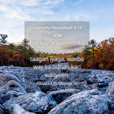 Picture 04 - Falimaha Rasuullada 4:14 SOM - Markay arkeen ninkii la bogsiiyey oo la taagan - Bible Verse Picture