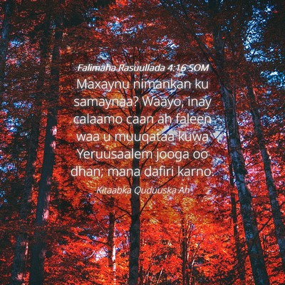 Picture 04 - Falimaha Rasuullada 4:16 SOM - Maxaynu nimankan ku samaynaa? Waayo, inay calaamo - Bible Verse Picture