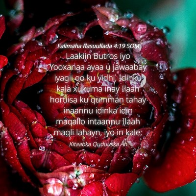 Picture 04 - Falimaha Rasuullada 4:19 SOM - Laakiin Butros iyo Yooxanaa ayaa u jawaabay - Bible Verse Picture