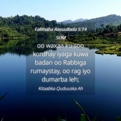 Picture 04 - Falimaha Rasuullada 5:14 SOM - oo waxaa ku soo kordhay iyaga kuwa badan oo - Bible Verse Picture