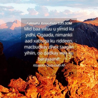 Picture 04 - Falimaha Rasuullada 5:25 SOM - Mid baa intuu u yimid ku yidhi, Ogaada, nimankii - Bible Verse Picture
