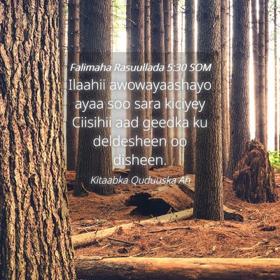 Picture 04 - Falimaha Rasuullada 5:30 SOM - Ilaahii awowayaashayo ayaa soo sara kiciyey - Bible Verse Picture