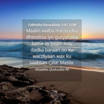 Picture 04 - Falimaha Rasuullada 5:42 SOM - Maalin walba macbudka dhexdiisa iyo guryahaba - Bible Verse Picture