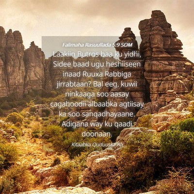 Picture 04 - Falimaha Rasuullada 5:9 SOM - Laakiin Butros baa ku yidhi, Sidee baad ugu - Bible Verse Picture
