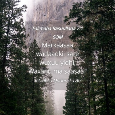 Picture 04 - Falimaha Rasuullada 7:1 SOM - Markaasaa wadaadkii sare wuxuu yidhi, Waxanu ma - Bible Verse Picture