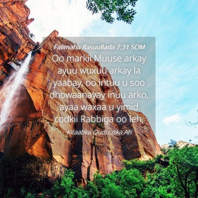 Picture 04 - Falimaha Rasuullada 7:31 SOM - Oo markii Muuse arkay ayuu wuxuu arkay la yaabay, - Bible Verse Picture