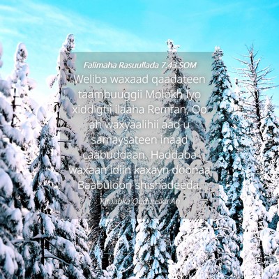 Picture 04 - Falimaha Rasuullada 7:43 SOM - Weliba waxaad qaadateen taambuuggii Molokh Iyo - Bible Verse Picture
