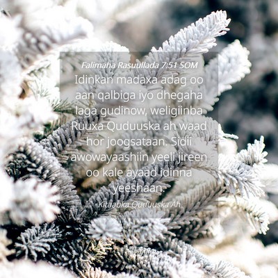 Picture 04 - Falimaha Rasuullada 7:51 SOM - Idinkan madaxa adag oo aan qalbiga iyo dhegaha - Bible Verse Picture