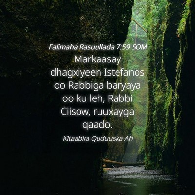 Picture 04 - Falimaha Rasuullada 7:59 SOM - Markaasay dhagxiyeen Istefanos oo Rabbiga baryaya - Bible Verse Picture