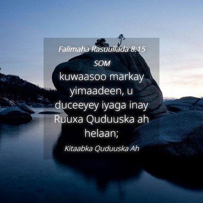 Picture 04 - Falimaha Rasuullada 8:15 SOM - kuwaasoo markay yimaadeen, u duceeyey iyaga inay - Bible Verse Picture