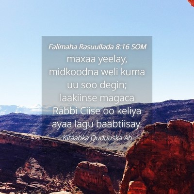 Picture 04 - Falimaha Rasuullada 8:16 SOM - maxaa yeelay, midkoodna weli kuma uu soo degin; - Bible Verse Picture