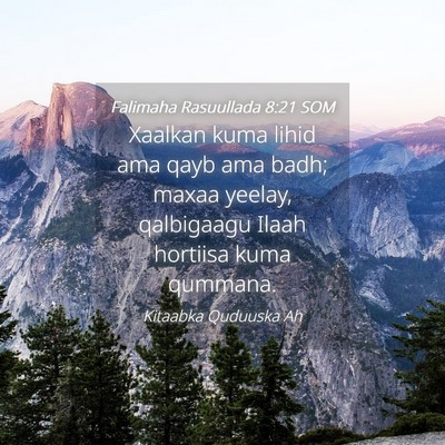Picture 04 - Falimaha Rasuullada 8:21 SOM - Xaalkan kuma lihid ama qayb ama badh; maxaa - Bible Verse Picture