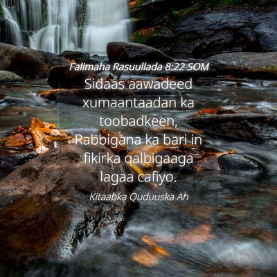 Picture 04 - Falimaha Rasuullada 8:22 SOM - Sidaas aawadeed xumaantaadan ka toobadkeen, - Bible Verse Picture