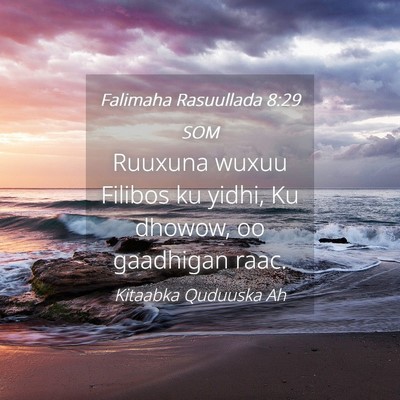 Picture 04 - Falimaha Rasuullada 8:29 SOM - Ruuxuna wuxuu Filibos ku yidhi, Ku dhowow, oo - Bible Verse Picture