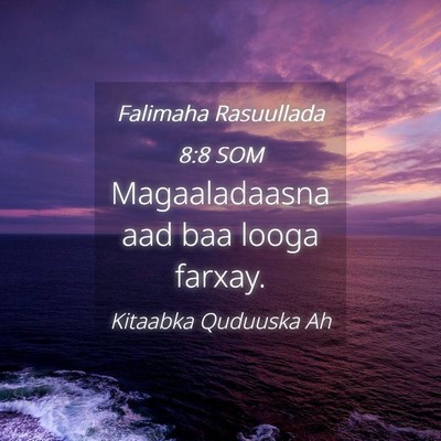 Picture 04 - Falimaha Rasuullada 8:8 SOM - Magaaladaasna aad baa looga - Bible Verse Picture