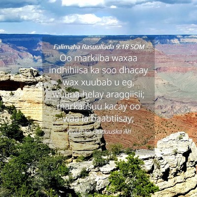 Picture 04 - Falimaha Rasuullada 9:18 SOM - Oo markiiba waxaa indhihiisa ka soo dhacay wax - Bible Verse Picture