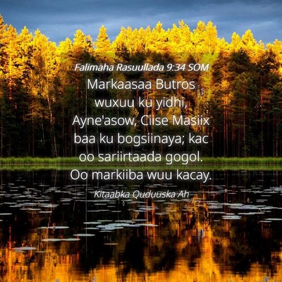 Picture 04 - Falimaha Rasuullada 9:34 SOM - Markaasaa Butros wuxuu ku yidhi, Ayne'asow, Ciise - Bible Verse Picture