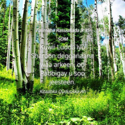 Picture 04 - Falimaha Rasuullada 9:35 SOM - Kuwii Ludda iyo Sharoon degganaana waa arkeen, oo - Bible Verse Picture