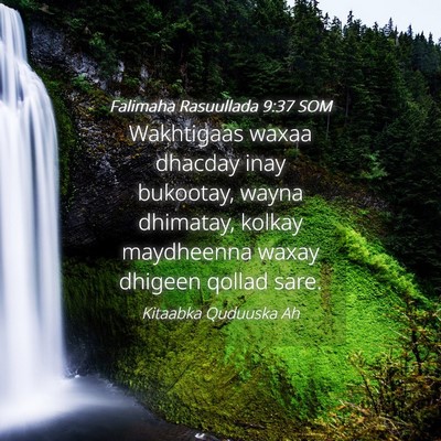 Picture 04 - Falimaha Rasuullada 9:37 SOM - Wakhtigaas waxaa dhacday inay bukootay, wayna - Bible Verse Picture