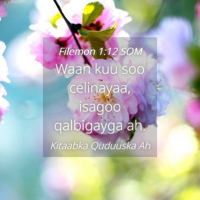 Picture 04 - Filemon 1:12 SOM - Waan kuu soo celinayaa, isagoo qalbigayga - Bible Verse Picture
