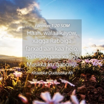 Picture 04 - Filemon 1:20 SOM - Haah, walaalkayow, xagga Rabbiga farxad aan kaa - Bible Verse Picture
