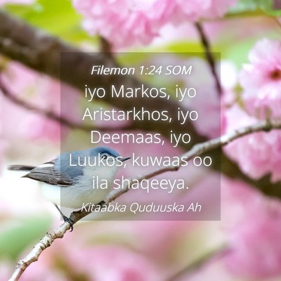 Picture 04 - Filemon 1:24 SOM - iyo Markos, iyo Aristarkhos, iyo Deemaas, iyo - Bible Verse Picture