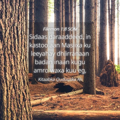 Picture 04 - Filemon 1:8 SOM - Sidaas daraaddeed, in kastoo aan Masiixa ku - Bible Verse Picture