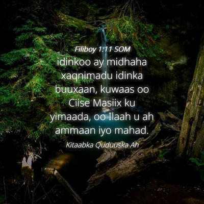 Picture 04 - Filiboy 1:11 SOM - idinkoo ay midhaha xaqnimadu idinka buuxaan, - Bible Verse Picture