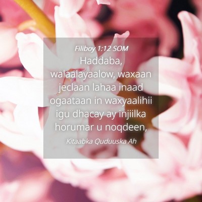 Picture 04 - Filiboy 1:12 SOM - Haddaba, walaalayaalow, waxaan jeclaan lahaa - Bible Verse Picture