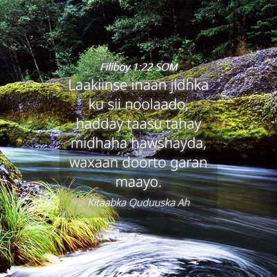 Picture 04 - Filiboy 1:22 SOM - Laakiinse inaan jidhka ku sii noolaado, hadday - Bible Verse Picture
