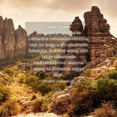 Picture 04 - Filiboy 1:28 SOM - oo idinku innaba ha ka cabsanina - Bible Verse Picture