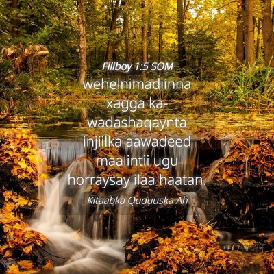 Picture 04 - Filiboy 1:5 SOM - wehelnimadiinna xagga ka-wadashaqaynta injiilka - Bible Verse Picture