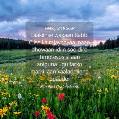 Picture 04 - Filiboy 2:19 SOM - Laakiinse waxaan Rabbi Ciise ka rajaynayaa inaan - Bible Verse Picture