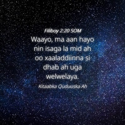 Picture 04 - Filiboy 2:20 SOM - Waayo, ma aan hayo nin isaga la mid ah oo - Bible Verse Picture