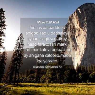 Picture 04 - Filiboy 2:28 SOM - Sidaas daraaddeed anigoo aad u dadaalaya ayaan - Bible Verse Picture
