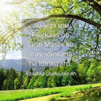 Picture 04 - Filiboy 2:5 SOM - Fikirkaas oo Ciise Masiix ku jiray, idinkana ha - Bible Verse Picture