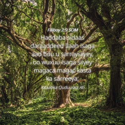 Picture 04 - Filiboy 2:9 SOM - Haddaba sidaas daraaddeed Ilaah isaga aad buu u - Bible Verse Picture