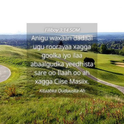 Picture 04 - Filiboy 3:14 SOM - Anigu waxaan dadaal ugu roorayaa xagga goolka iyo - Bible Verse Picture