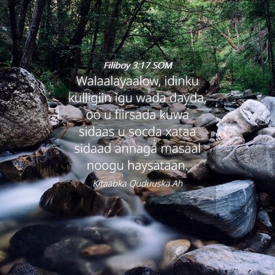Picture 04 - Filiboy 3:17 SOM - Walaalayaalow, idinku kulligiin igu wada dayda, - Bible Verse Picture