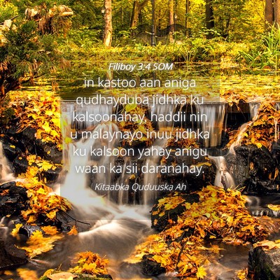 Picture 04 - Filiboy 3:4 SOM - in kastoo aan aniga qudhayduba jidhka ku - Bible Verse Picture