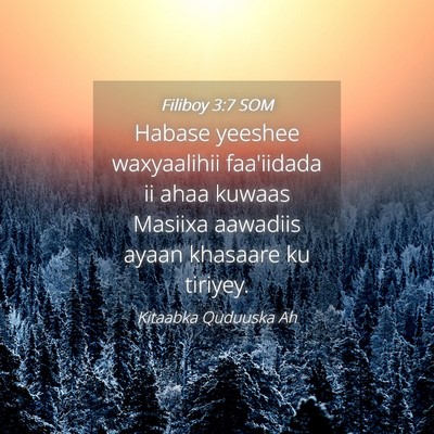 Picture 04 - Filiboy 3:7 SOM - Habase yeeshee waxyaalihii faa'iidada ii ahaa - Bible Verse Picture