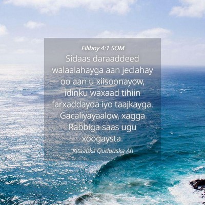 Picture 04 - Filiboy 4:1 SOM - Sidaas daraaddeed walaalahayga aan jeclahay oo - Bible Verse Picture