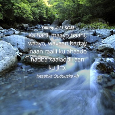 Picture 04 - Filiboy 4:11 SOM - Ka hadli maayo baahi, waayo, waxaan bartay inaan - Bible Verse Picture