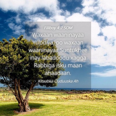 Picture 04 - Filiboy 4:2 SOM - Waxaan waaninayaa Yu'odiya, oo waxaan waaninayaa - Bible Verse Picture