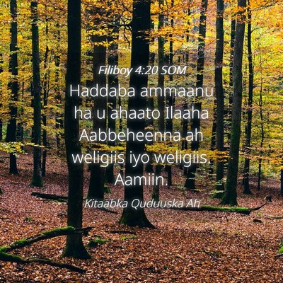 Picture 04 - Filiboy 4:20 SOM - Haddaba ammaanu ha u ahaato Ilaaha Aabbeheenna ah - Bible Verse Picture