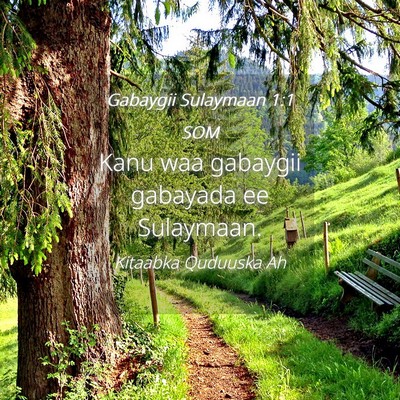 Picture 04 - Gabaygii Sulaymaan 1:1 SOM - Kanu waa gabaygii gabayada ee - Bible Verse Picture