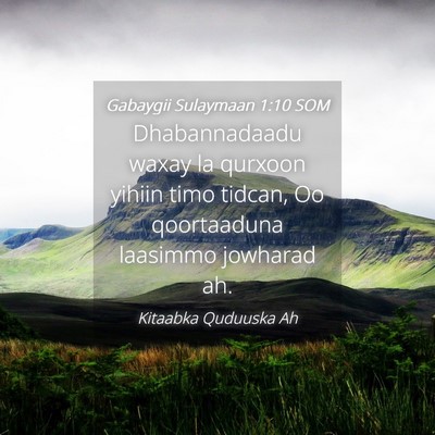 Picture 04 - Gabaygii Sulaymaan 1:10 SOM - Dhabannadaadu waxay la qurxoon yihiin timo - Bible Verse Picture
