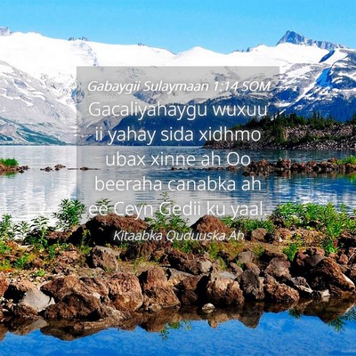 Picture 04 - Gabaygii Sulaymaan 1:14 SOM - Gacaliyahaygu wuxuu ii yahay sida xidhmo ubax - Bible Verse Picture