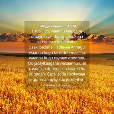 Picture 04 - Gabaygii Sulaymaan 1:4 SOM - I soo jiido, waannu kaa daba ordaynaaye. Boqorkii - Bible Verse Picture